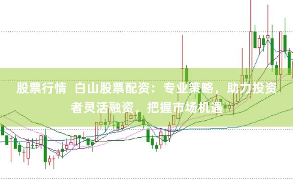 股票行情  白山股票配资：专业策略，助力投资者灵活融资，把握市场机遇
