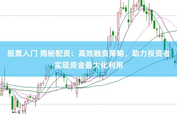 股票入门 揭秘配资:高效融资策略,助力投资者实现资金最大化利用
