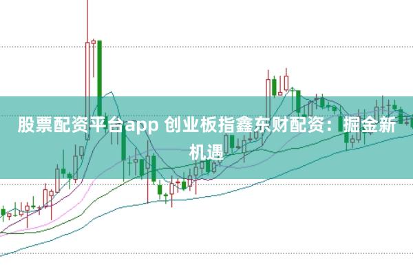 股票配资平台app 创业板指鑫东财配资：掘金新机遇