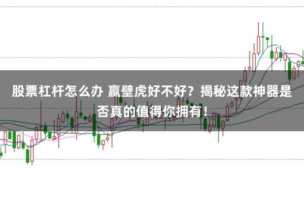 股票杠杆怎么办 赢壁虎好不好？揭秘这款神器是否真的值得你拥有！