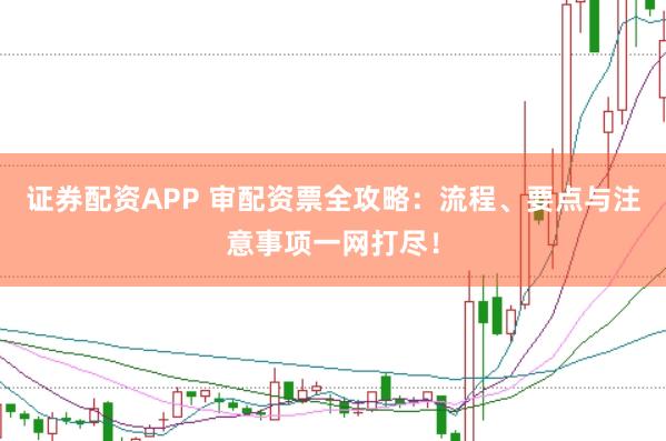 证券配资APP 审配资票全攻略：流程、要点与注意事项一网打尽！