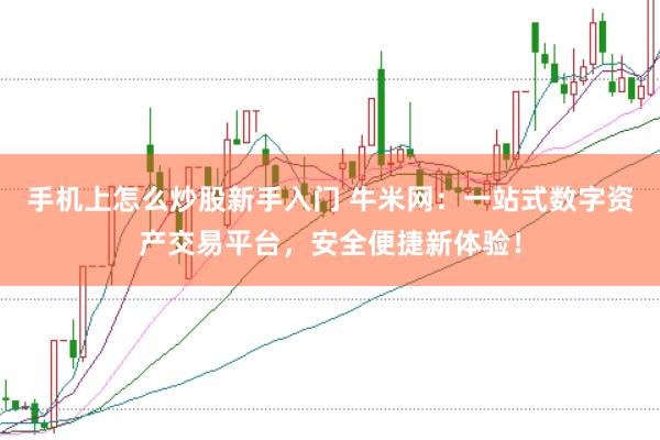 手机上怎么炒股新手入门 牛米网：一站式数字资产交易平台，安全便捷新体验！