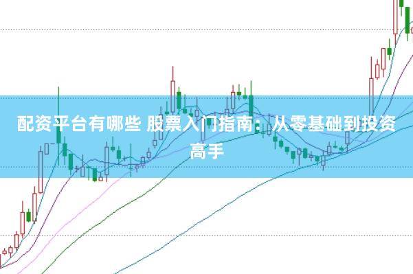 配资平台有哪些 股票入门指南：从零基础到投资高手