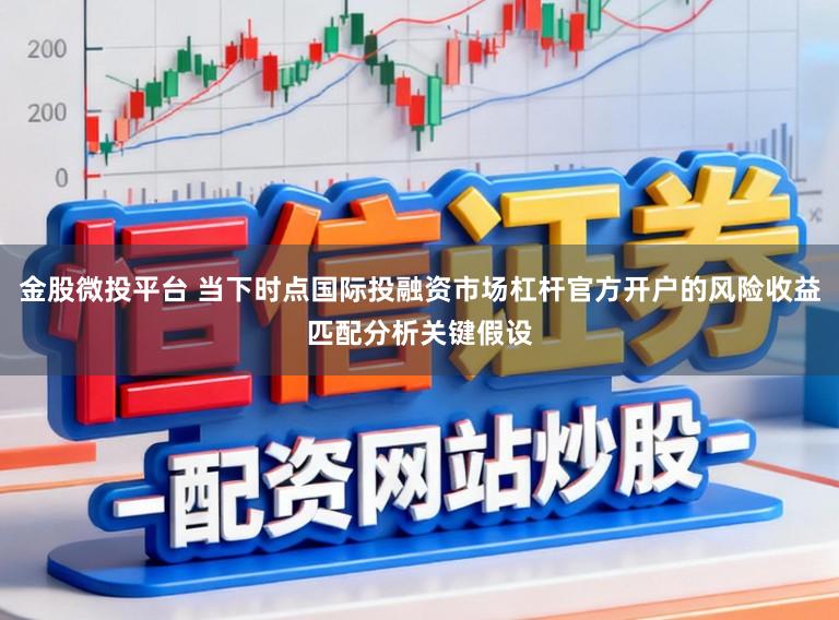 金股微投平台 当下时点国际投融资市场杠杆官方开户的风险收益匹配分析关键假设