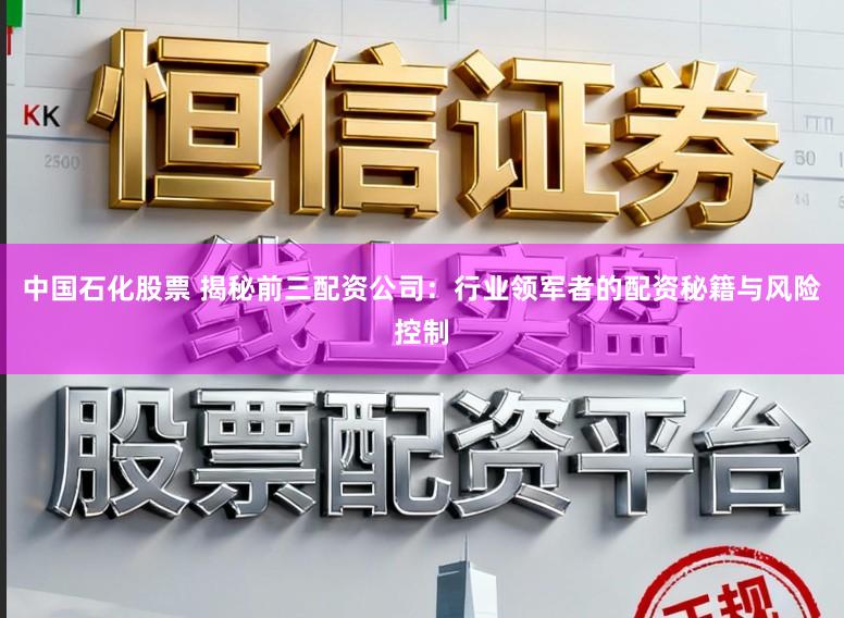 中国石化股票 揭秘前三配资公司：行业领军者的配资秘籍与风险控制