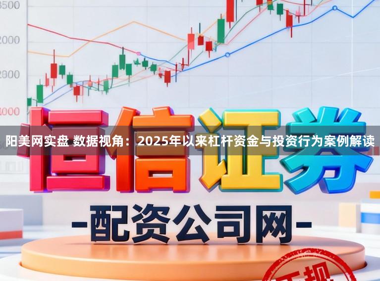 阳美网实盘 数据视角：2025年以来杠杆资金与投资行为案例解读