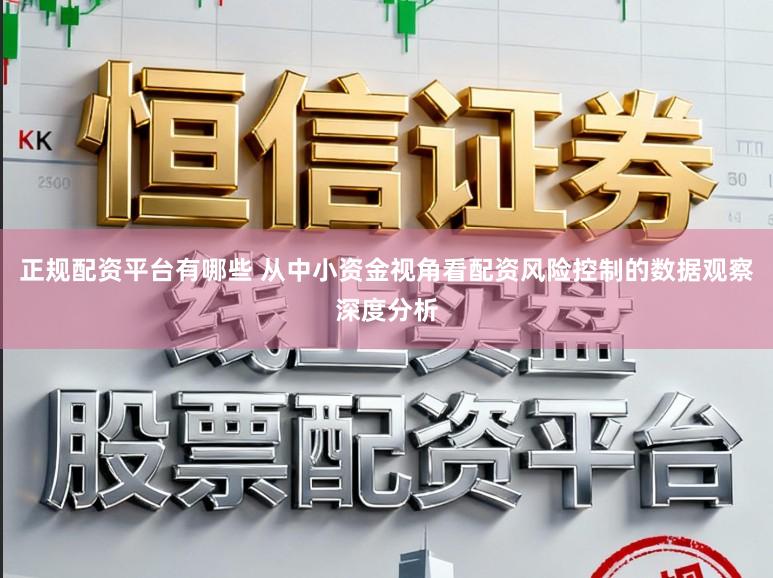 正规配资平台有哪些 从中小资金视角看配资风险控制的数据观察深度分析